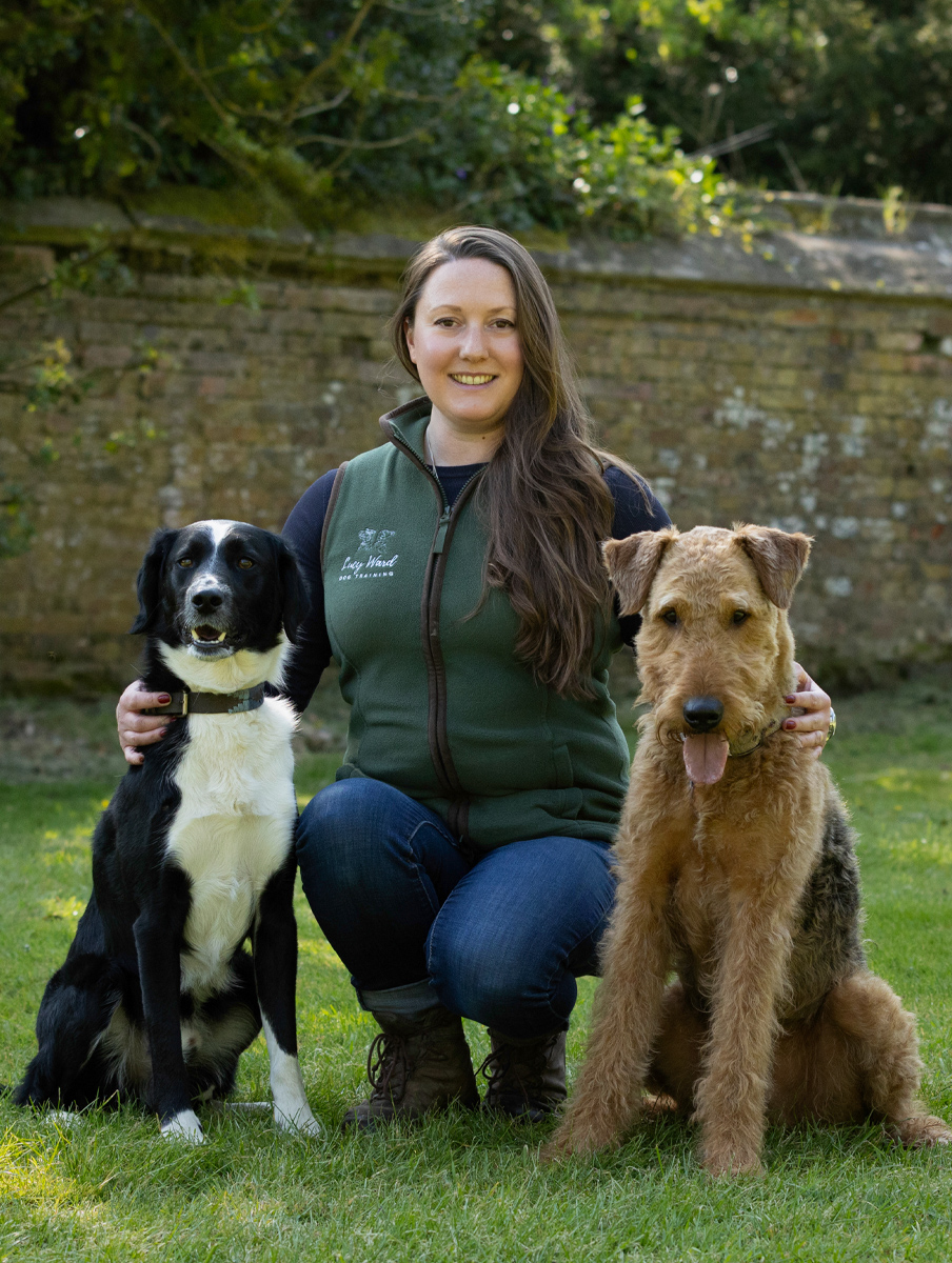 About Dees Dogz Dog Walker Shrewsbury