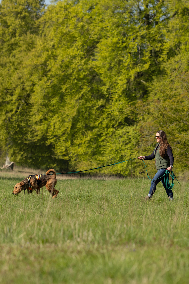 dog training walks Briston Edgefield Holt Alysham Worstead Swanton Abbott North Norfolk
