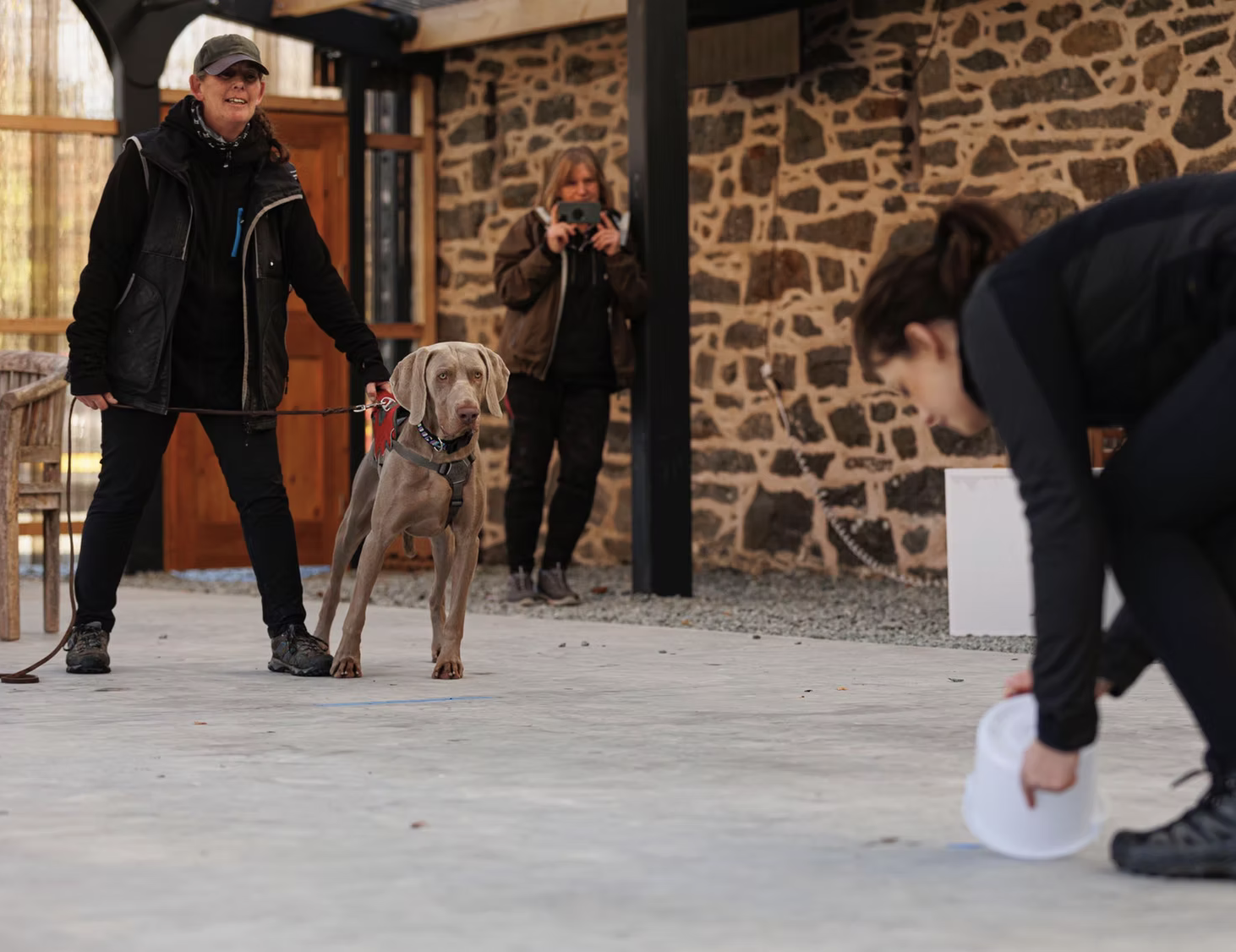 dog training walks Briston Edgefield Holt Alysham Worstead Swanton Abbott North Norfolk